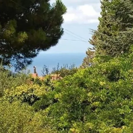 Palermo Rose Private Villa Mandra Capreria